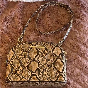 Snakeskin print Steve Madden Crossbody